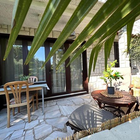 Apartment Villa Angelina, 70M From The Beach, Free Parking Novigrad  ภายนอก รูปภาพ