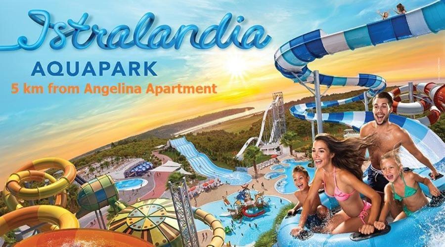 Apartment Villa Angelina, 70M From The Beach, Free Parking Novigrad  ภายนอก รูปภาพ