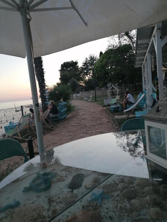 Apartment Villa Angelina, 70M From The Beach, Free Parking Novigrad  ภายนอก รูปภาพ