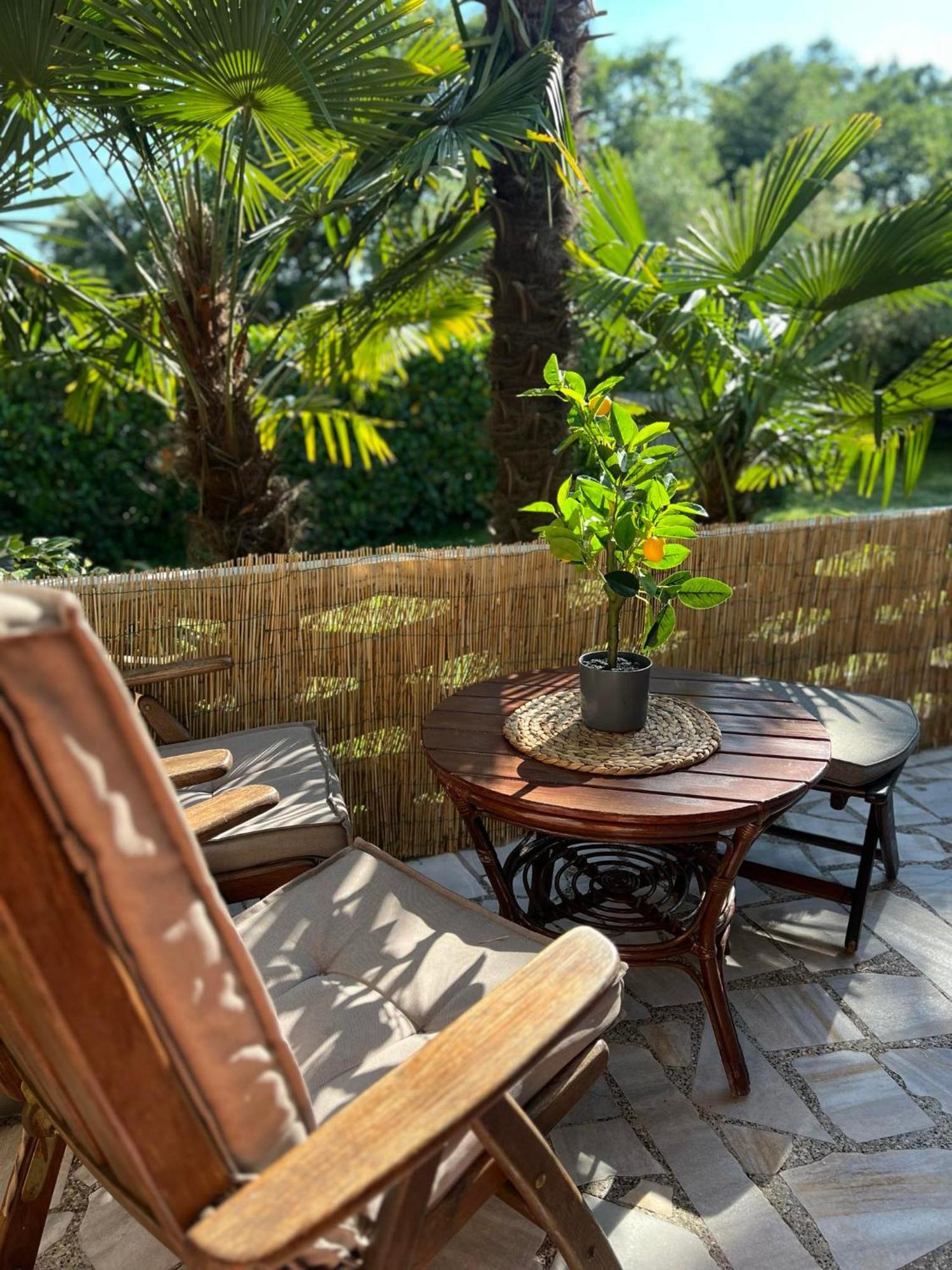 Apartment Villa Angelina, 70M From The Beach, Free Parking Novigrad  ภายนอก รูปภาพ
